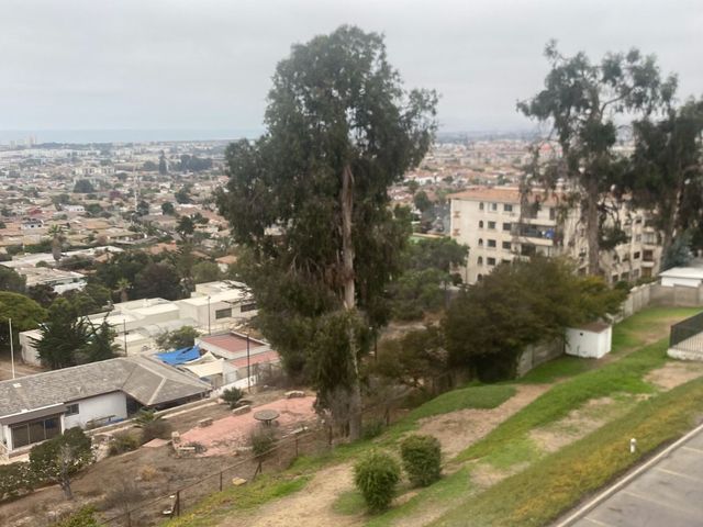 place photo 42