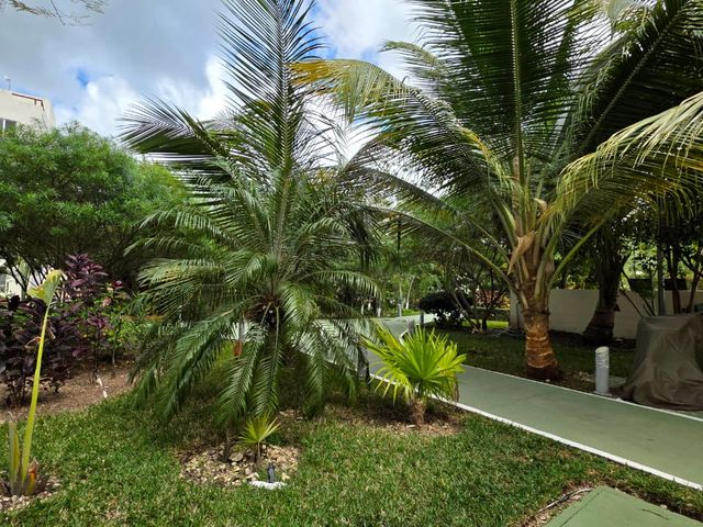 place photo 43