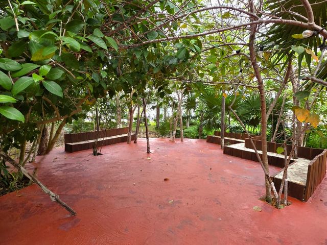 place photo 42