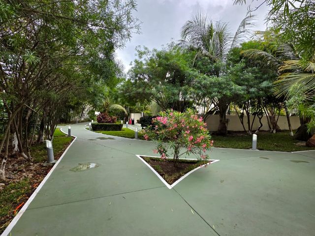 place photo 47