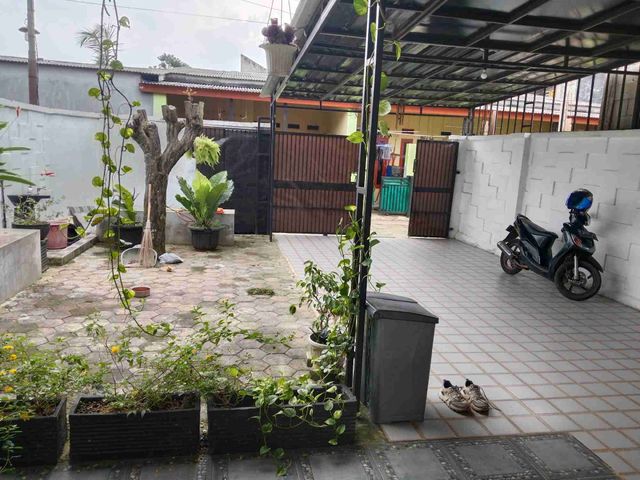 place photo 16