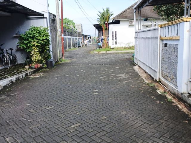 place photo 10