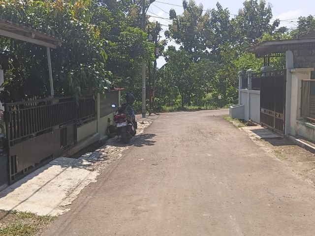 place photo 17
