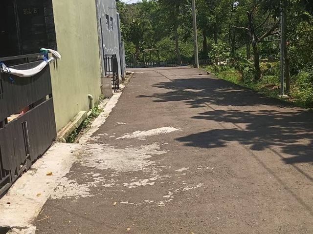 place photo 18