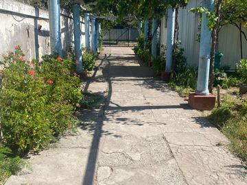 place photo 34