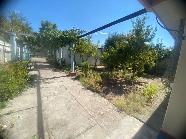 place photo 35