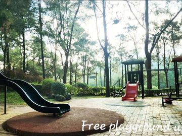 place photo 15
