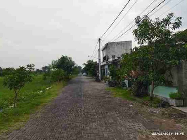 place photo 4