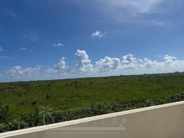 place photo 47