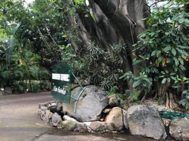 place photo 17