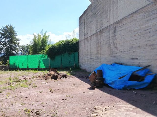 place photo 19