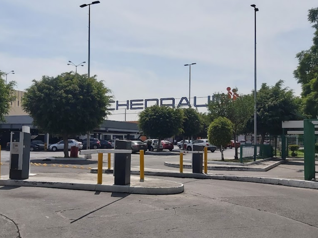 place photo 16