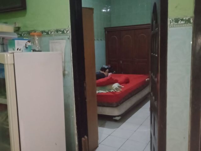 place photo 5