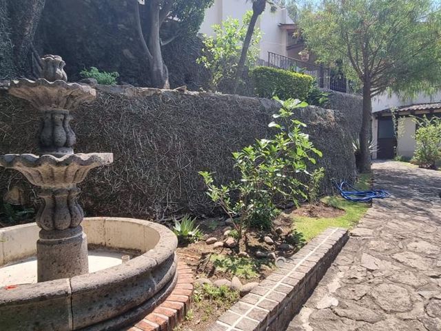 place photo 21