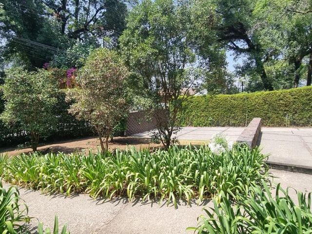 place photo 34