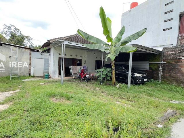 place photo 5