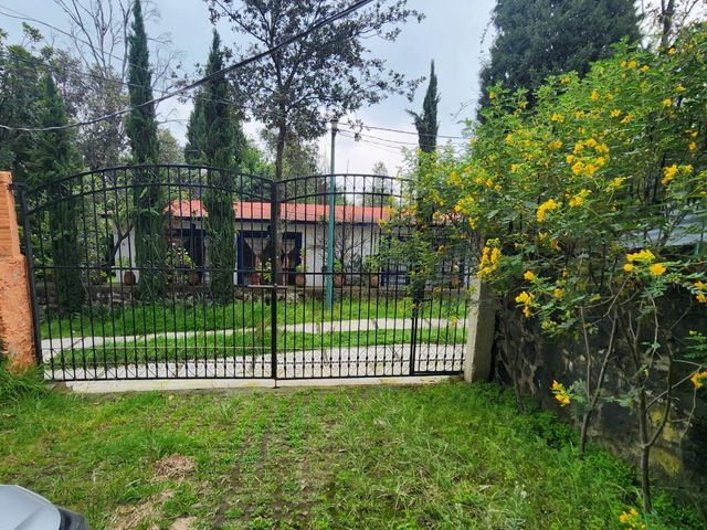 place photo 40