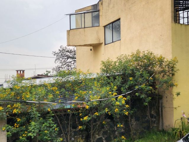 place photo 42