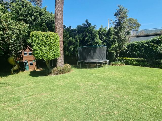 place photo 58