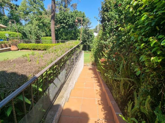 place photo 47