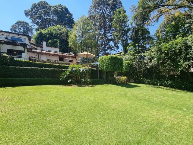place photo 61