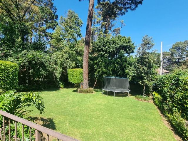 place photo 64