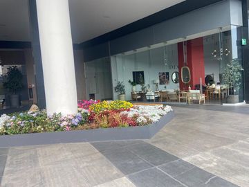 place photo 31