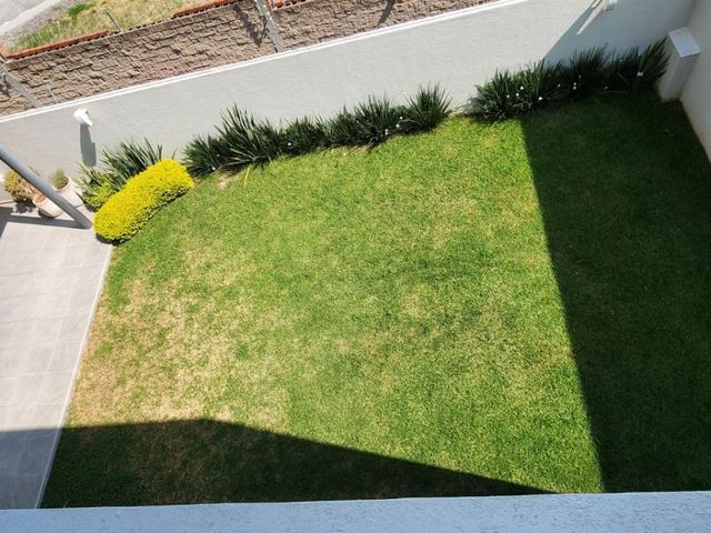 place photo 60