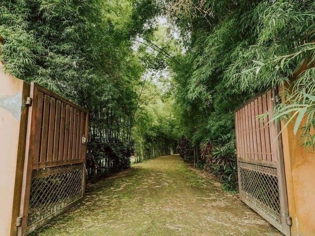 place photo 26