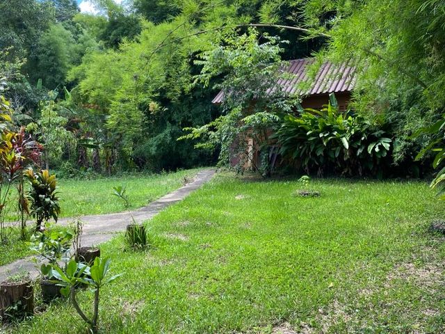 place photo 47