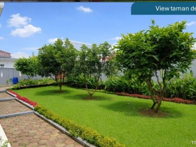 place photo 18