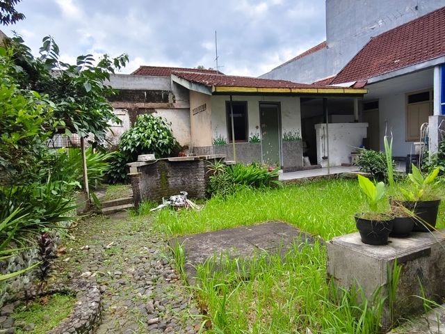 place photo 13