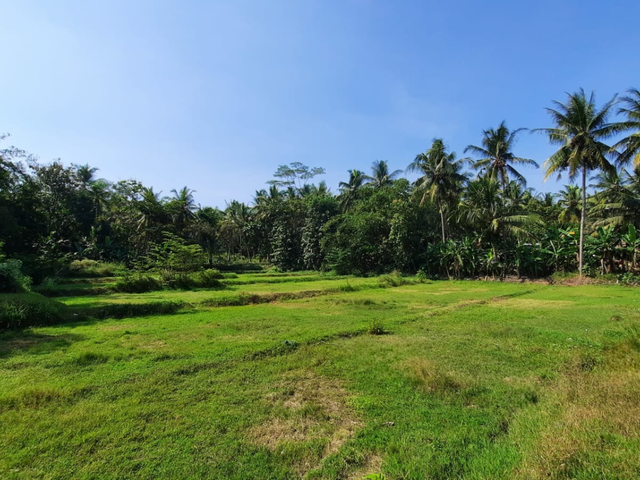 place photo 9