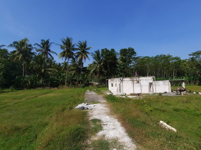 place photo 10