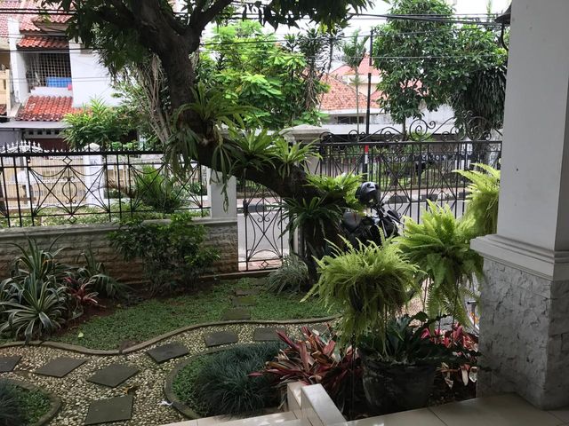 place photo 11