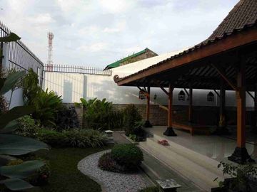 place photo 17
