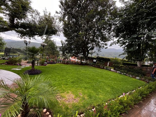 place photo 41