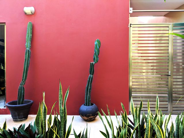 place photo 33