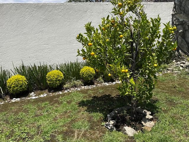 place photo 70