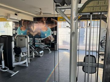 place photo 16