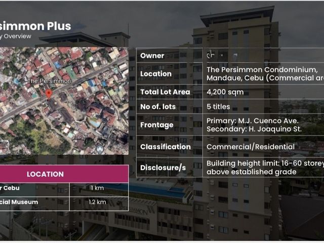 Condo For Sale in The Persimmon Mandaue, Cebu City