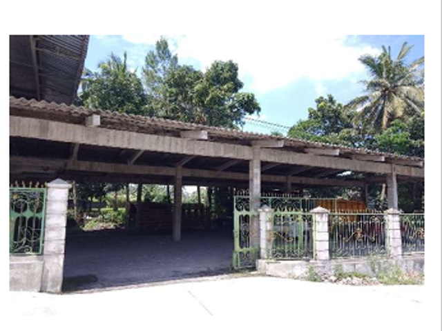 place photo 8