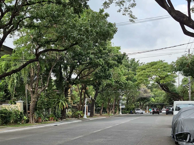 CORNER RESIDENTIAL LOT FOR SALE IN BEL-AIR 3, MAKATI CITY