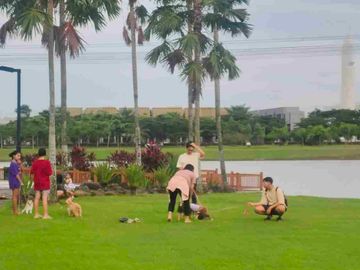 place photo 10