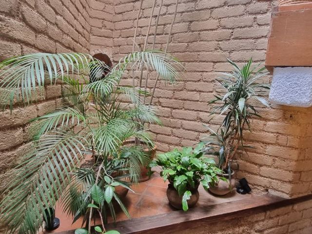 place photo 42