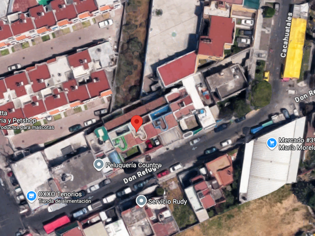 place photo 12