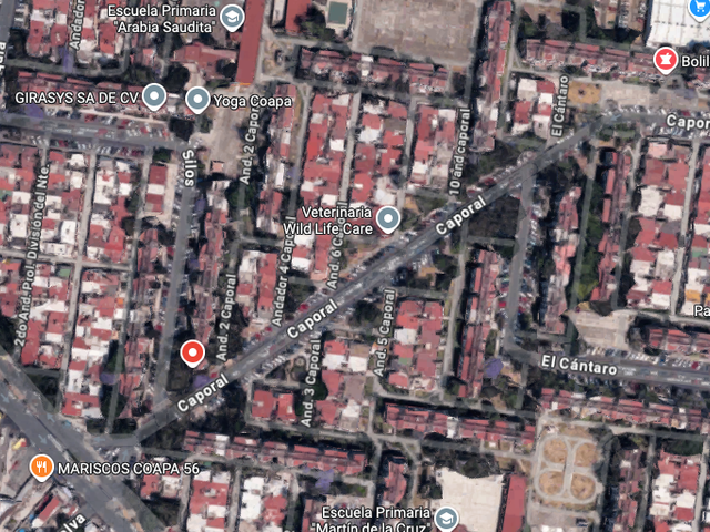 place photo 12