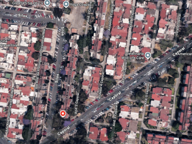 place photo 13