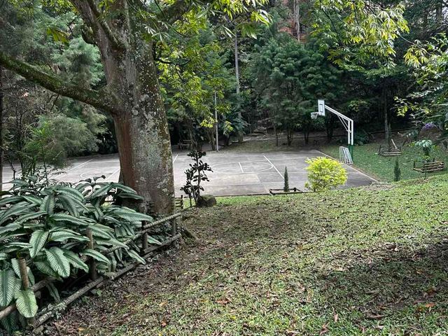 place photo 28