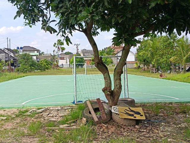 place photo 3